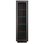 Арека Витрина Венге REG 1W-56 с подсветкой (560х430х1995)
