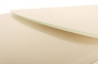 СТОЛ TULIP BG