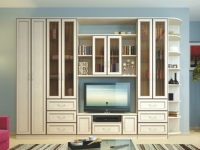 Гостиная София 3 